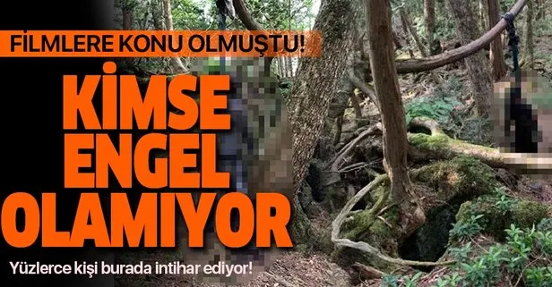 Japonya’daki intihar ormanında gezintiye çıkan Türkler gördüklerinden sonra şoka girdi!