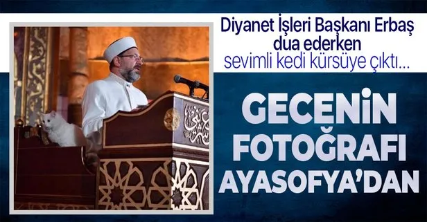 Diyanet İşleri Başkanı Ali Erbaş’ın Ayasofya Camii’nde katıldığı ’Regaib Kandili Özel’ programında ’kedi’ detayı