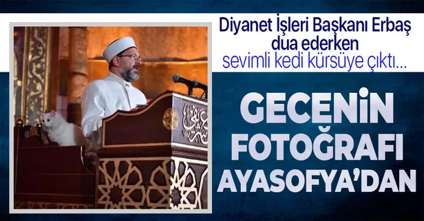Diyanet İşleri Başkanı Ali Erbaş'ın Ayasofya Camii’nde katıldığı 'Regaib Kandili Özel' programında 'kedi' detayı