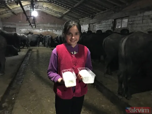 Manda sütü bir köyü kurtardı! Herkes geçimini sağlıyor! Kaymağın kilosu 120 lira - 2