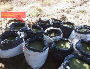 Diyarbakır'da PKK'ya büyük darbe! Tonlarca uyuşturucu ele geçirildi