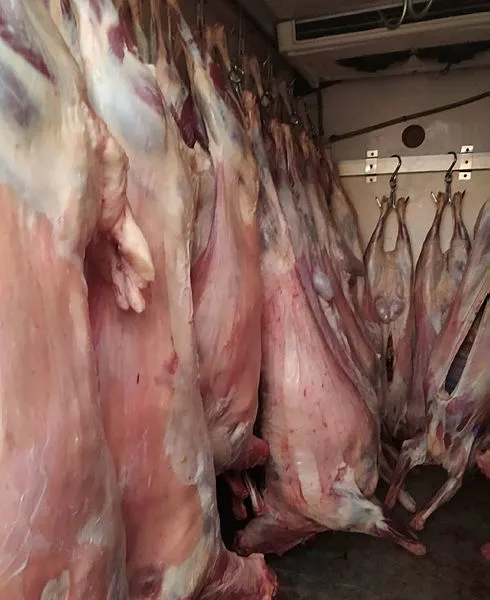 Adana'da kaynağı belli olmayan 2 ton et ele geçirildi-2