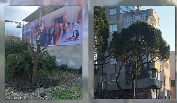 Afiş için ağaçları katleden CHP'li Özlem Çerçioğlu'na arsa sahibinden sert tepki!-2