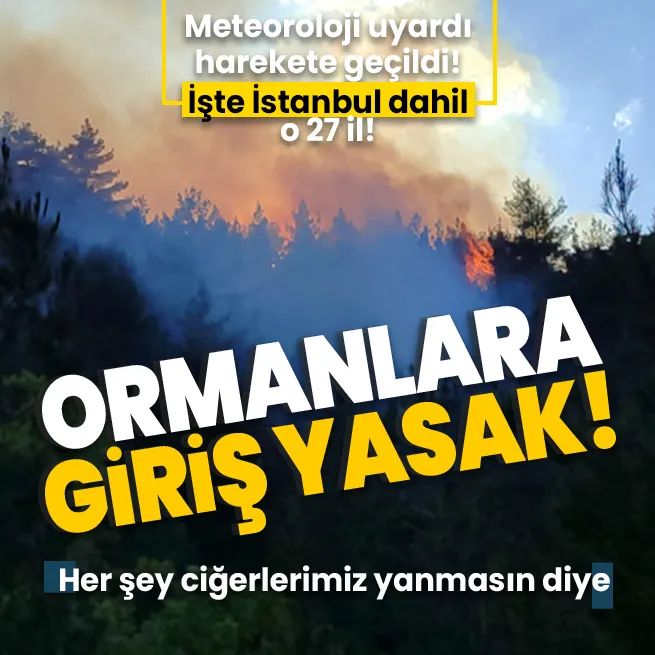 27 ilde ormanlara giriş yasak! Meteoroloji uyardı önlem geldi! Hem sıcak hava hem de rüzgar...