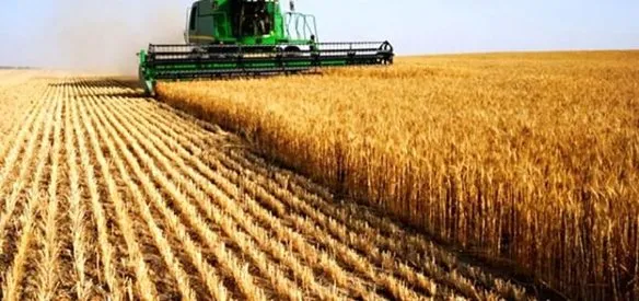 İkinci Dünya Savaşı ortamında 500 kilogramdan fazla tahıl stoklarına Ticaret Bakanlığınca el konulması kararlaştırıldı.