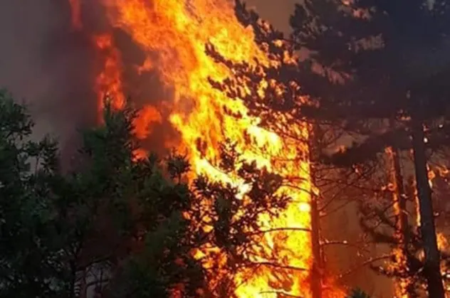 Son dakika: Alev alev yanıyor! Validen açıklama geldi