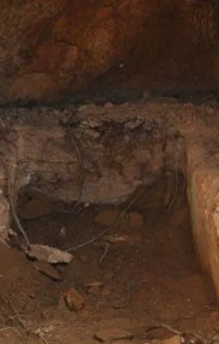 İzmir'in Ödemiş ilçesinde kaya mezarı tespit edildi