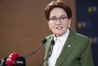 Aktif siyaseti bırakmıştı! Meral Akşener vakıf kurdu
