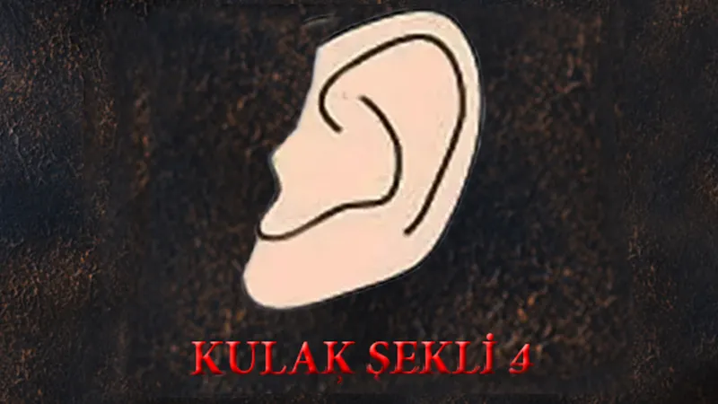 kulak-sekliniz-buysa-en-guclu-sezgileri-olan-kisileri-sak-diye-ortaya-cikiyor-1711887512982.jpg Kulak şekliniz buysa en güçlü sezgileri olan kişileri şak diye ortaya çıkıyor-5
