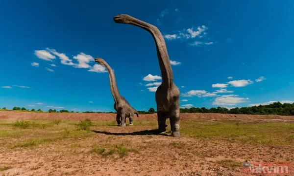 230 milyon yıldır oradaydı! Meğer evrenin en eski... - 5