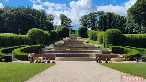 Zehir Aynı Zamanda İlaç Olabiliyor 🔹Bahçede Yer Alan Bazı Bitkiler, Ölümcül Olmalarının Yanı Sıra Tıbbi Amaçlarla Da Kullanılıyor. Örneğin Madagaskar...
