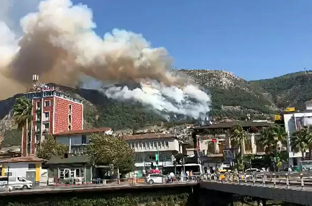Hatay'da ormanlık alanda yangın! Çok sayıda ekip bölgede