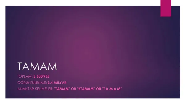 Twitter'daki kara propagandanın arkasında kimler var? TAMAM etiketine en çok hangi ülkeden destek verildi?-2