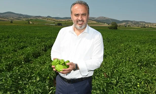 Bursa Büyükşehir Belediyesi'nin tarlada izi var-5