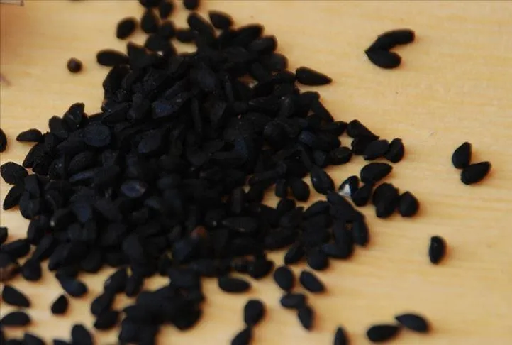 Öksürüğe çörek otu