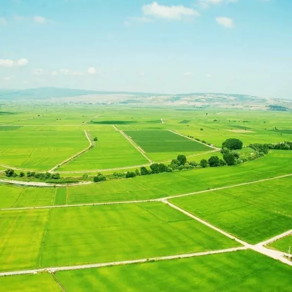 Koronavirüsten sonra talep patlaması! Fiyatlar yüzde 400 arttı! Altından daha yüksek kâr-3