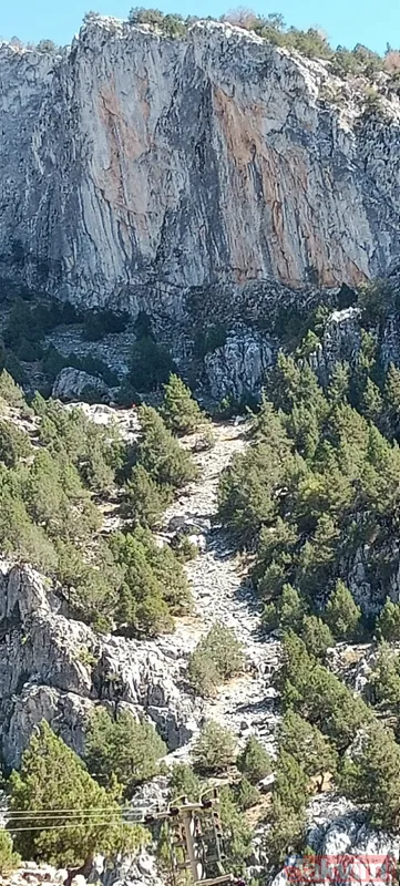 Mavi balina oyununda ölenler son dakika! Arda Yurtseven ve Alişan Soylu'da korkunç şüphe - 1