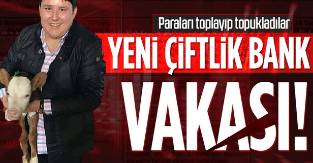 Yeni Çiftlik Bank vakası daha! Ava Premium'a erişilemiyor! SPK'dan nitelikli dolandırıcılık suç duyurusu