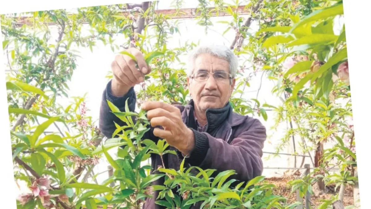 Mersin Tarsus’ta aile dehşeti: Kuzenlerine ateş açıp otomobilini yaktı! Ardından kendi canına kıydı