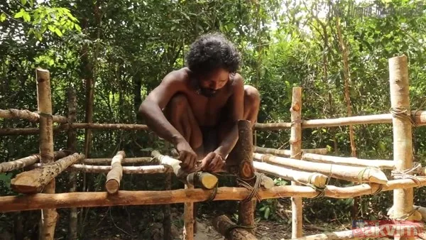 Sadece ağaç kullanarak öyle bir şey yaptı ki! YouTube videosu milyonlar izlendi - 15