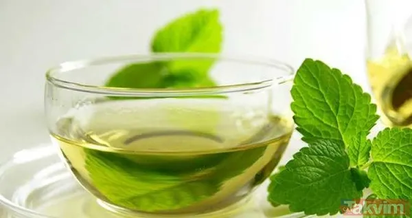 Özellikle Sigara İçenler, Şehir Yaşamının Getirdiği Hava Kirliliğine Maruz Kalanlar Ve Kronik Solunum Yolu Hastalıkları Olanlar İçin Isırgan Otunun Düzenli...