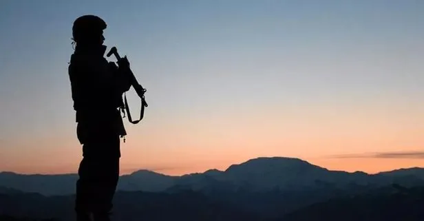 Terör örgütü PKK /KCK’dan kaçan 2 örgüt mensubu güvenlik güçlerine teslim oldu