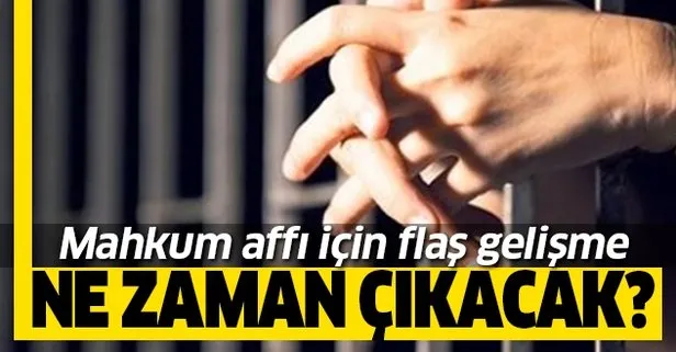 Mahkum affı ne zaman görüşülecek? İşte flaş açıklama