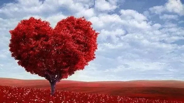 eski-sevgiliye-sevgililer-gunu-mesajlari-uzaktaki-sevgiliye-14-subat-sevgililer-gunu-notlari-komik-florte-nisa-1676314316218.jpeg Uzaktaki sevgiliye 14 Şubat Sevgililer Günü notları! Komik, flörte, nişanlıya, sevgiliye uzun mesajlar! Eski sevgiliye Sevgililer Günü mesajları!-9