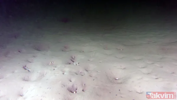 SON DAKİKA: Marmara Denizi için büyük tehlike! Deniz hala soğumadı müsilaj tehlikesi devam ediyor - 29