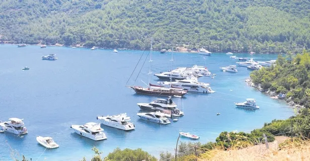 Bedavaya 'yat'ıyorlar