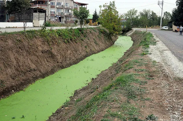 Kocaeli'de endişe yaratan manzara! Derenin rengi yeşile döndü