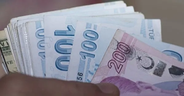 671 TL devletten her ay maaş desteği! Bu şartları sağlayanlar alabiliyor...-1