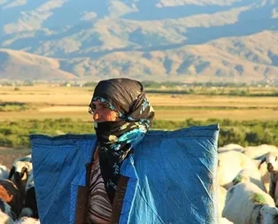 İŞKURdan akademi: Haftada 5 gün eğitim, harçlık devletten