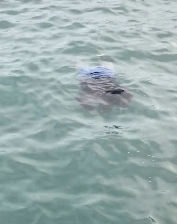 Sarıyer'de denize atladığı iddia edilen kadının yardım talebine akıl almaz yanıt: Bana ne!-2