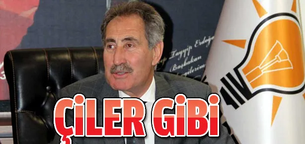 Çiller gibi