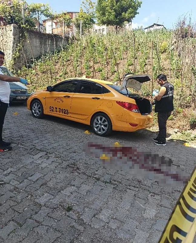 Ordu'da sokak ortasında kan donduran cinayet! Muhtar eşiyle ilişki yaşadığını iddia ettiği azasına kurşun yağdırdı-5