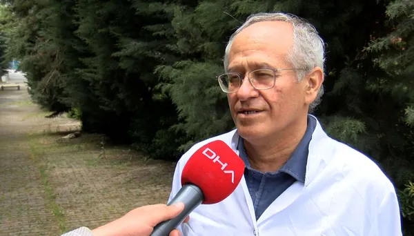 istanbulda-yeni-salgin-bati-nil-virusu-tespit-edildi-1622884861803.jpg İstanbul'da yeni salgın! Batı Nil Virüsü tespit edildi-2