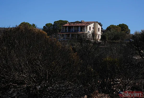 Çeşme yangınında zarar gören alanlar görüntülendi: Her şeyimiz yandı - 35
