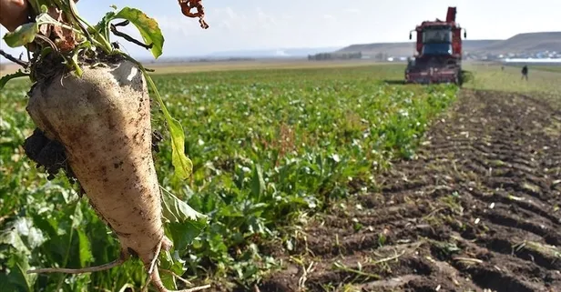 Türk tarım ürünleri 180 ülkeye ihraç ediliyor