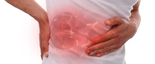 idrarda-kan-bobrekte-tas-iste-bu-hastaliktan-korunmanin-yollari-1671410263363.jpeg İdrarda kan böbrekte taş! İşte bu hastalıktan korunmanın yolları...-3