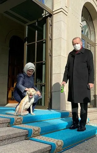 Emine Erdoğan, Başkan Erdoğan'ı 'Leblebi' ile birlikte uğurladı