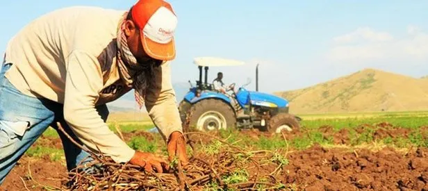 Çiftçilere destek ödemeleri başladı