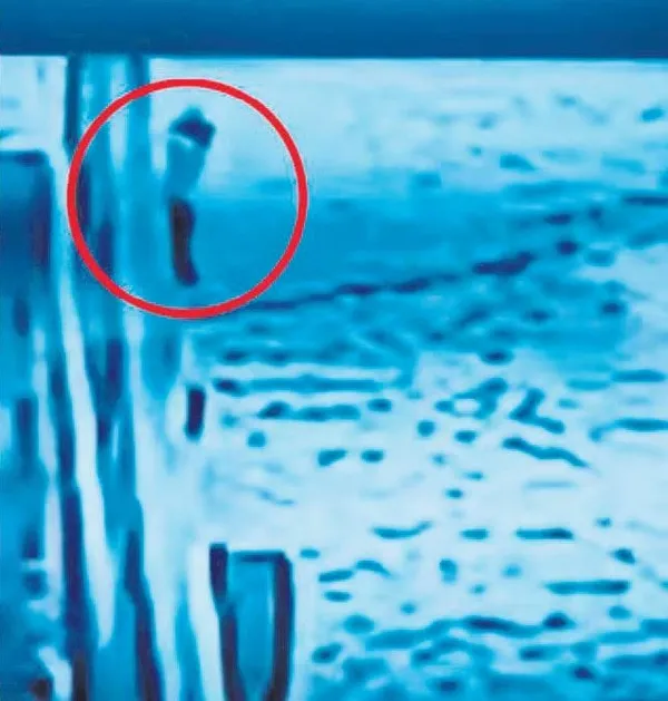 Isparta'da Ali Aydıner, Zehra Çaycı'yı öldürme davasından beraat etti! (Güncel haberler)-2