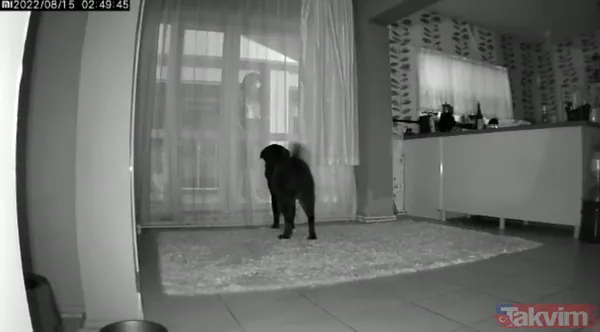 Tuzla'da yaşayan hostese eski sevgilisi dehşeti yaşattı! 'Seni kimseye yar etmem keserim' - 1