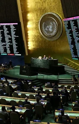 BM'den flaş Halep kararı