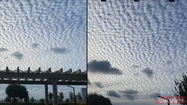 Deprem Kaçtan Sonra Tehlikeli? Bu Olayları İnceleyen Bilim Dalına Da Sismoloji Denir. Depremin Büyüklüğü Moment Magnitüd Ölçeği (Ya Da Eskiden Kullanımda Olan...