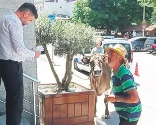 Mağdur çiftçiyi oynadı gayrimenkul zengini çıktı