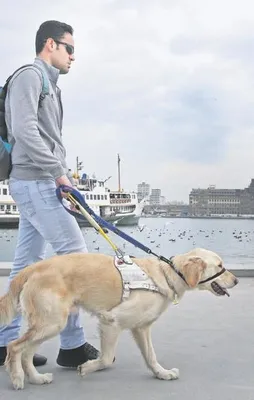 Engelli gencin gözü kulağı