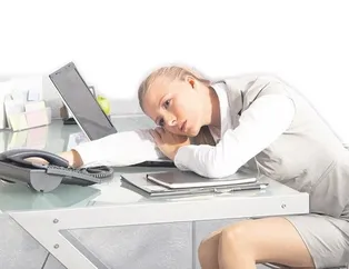 Yazın güzeli domates