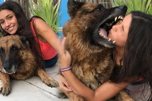 Fotoğraf çekmek isterken köpek tarafından ısırıldı! Genç kıza şok